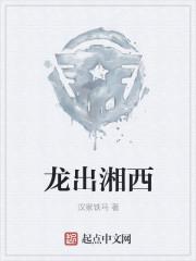 龙出湘西封面
