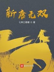 新唐无双封面