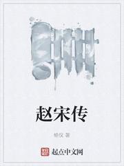 赵宋传封面