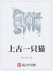 上古一只猫封面