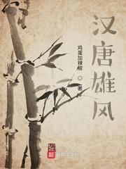 汉唐雄风封面