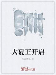 大夏王开启