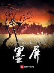 墨水屏阅读器封面