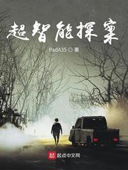 银发侦探封面