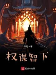 权谋之人封面