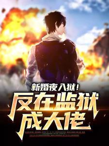 新婚夜入狱！反在监狱成大佬封面