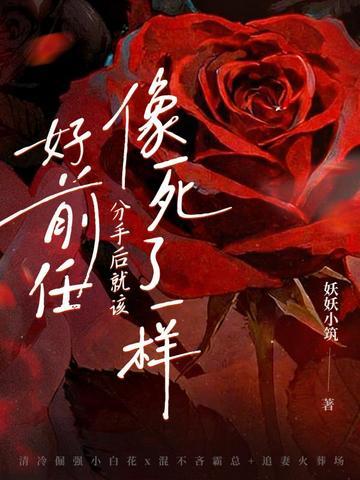 分手后前任跟死了一样封面