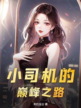 小司机封面
