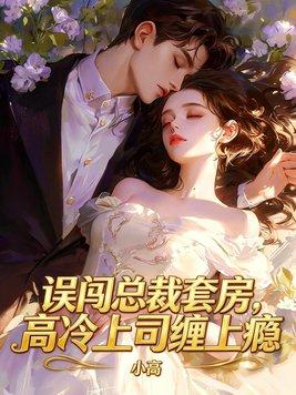 误闯总裁套房封面