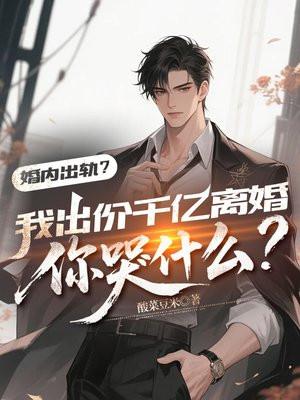 我的婚内出轨的经历封面