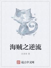海贼之逆刃剑豪笔趣阁封面