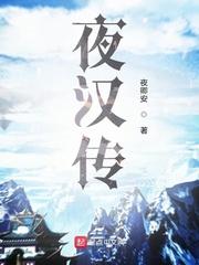 夜汉传封面