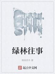 绿林传奇封面