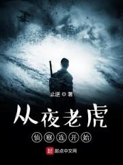 从夜老虎侦察连开始笔趣阁封面