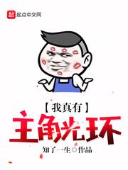 我有无数主角光环封面