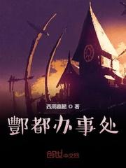 酆都县城封面
