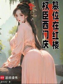 篡位在红楼起点中文网封面
