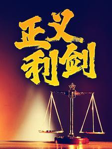 正义利剑丁云松免费阅读封面