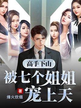 高手下山被七个姐姐宠上天笔趣阁封面