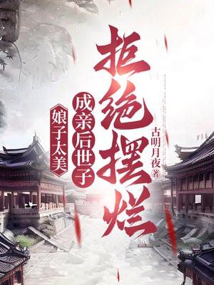 娘子太美封面