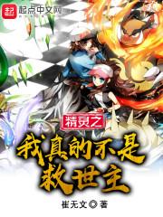 精灵我真不是全能封面