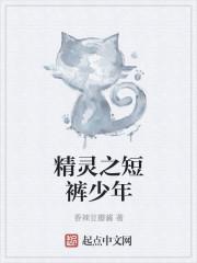 精灵之短裤小子百度百科封面