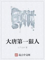大唐第一狠人太子封面