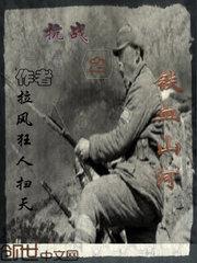 抗战之铁血山河孙浩封面