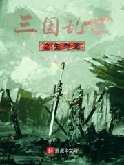 三国乱世封面
