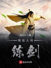 我在人间练剑百度百科封面