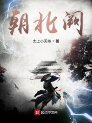 朝北阙是什么意思封面