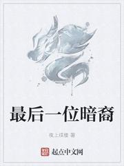最后一位刺客封面