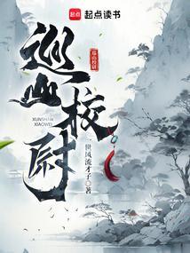 巡山校尉txt封面