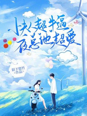 小夫人作者封面