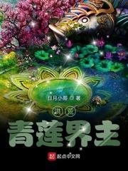 洪荒青莲始祖封面