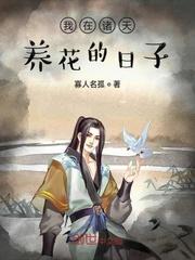 系统说我是挂件封面