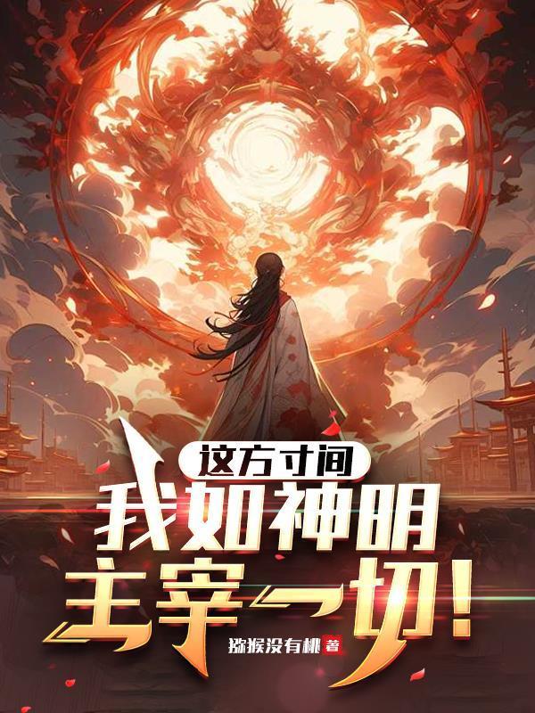 这方寸间，我如神明，主宰一切！封面