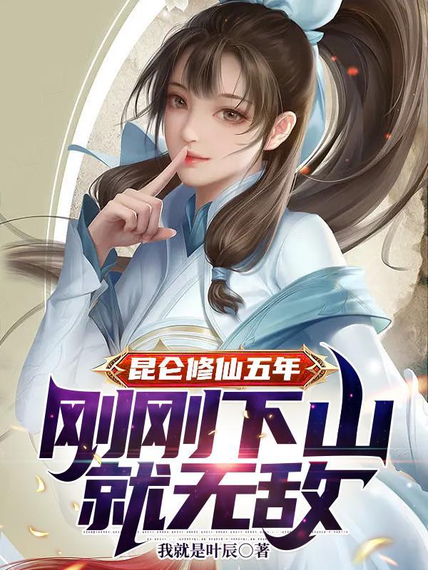 医念关山封面
