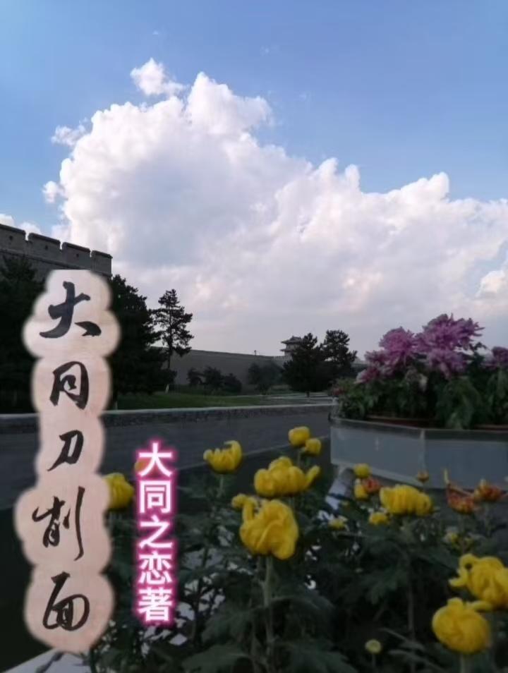 四合院:娄晓娥不做冤大头封面