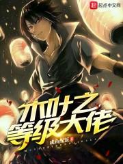 龙吟水泊封面
