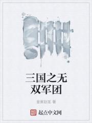 盛气之少年高手封面