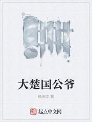 八美阁封面