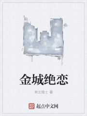 乱世幻宋封面