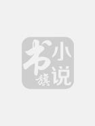 阿斯兰的崛起封面