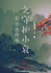 形而上梦封面