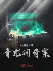 大检察长封面
