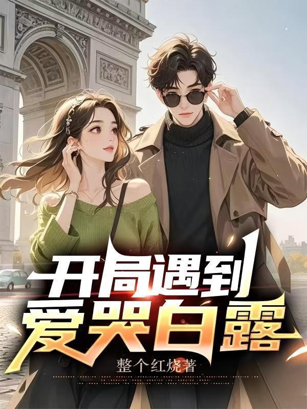 开局搬空贾家封面