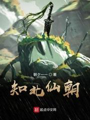 贵族学院的暗娼封面