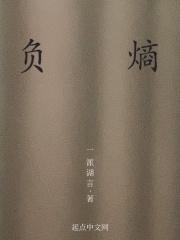 负熵封面