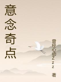 意念奇点封面